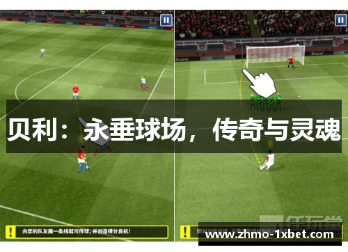 贝利:永垂球场,传奇与灵魂 贝利:永垂球场,传奇与灵魂