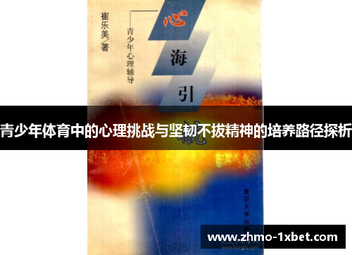 青少年体育中的心理挑战与坚韧不拔精神的培养路径探析